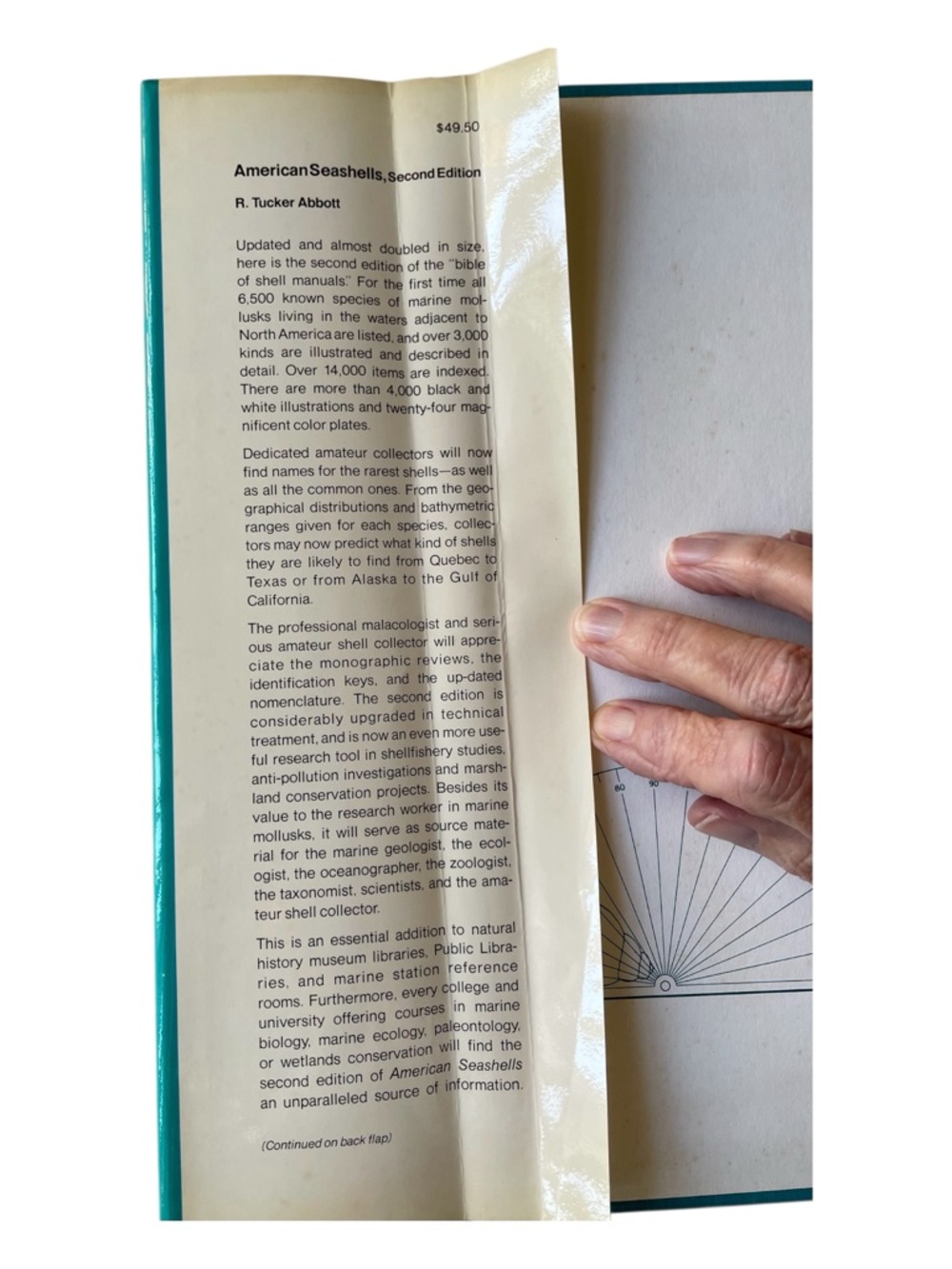 American Seashells Second Edition by R. Tucker Abbott Hardcover Reference - Picture 6 of 13